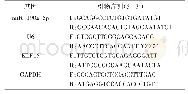 表1 q RT-PCR引物及序列