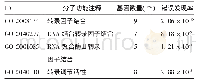 表3 GO分子功能分类结果