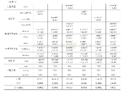 表3 作用机制的全样本回归结果与稳健性检验