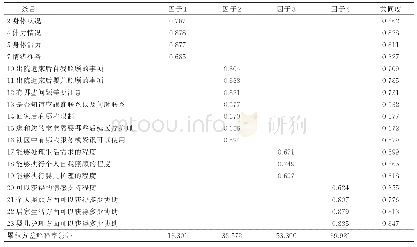 表2 中文版RHDS-NMF探索性因子分析因子载荷矩阵（n=189)