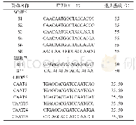 表1 引物信息：不同甘薯品种及其辐射诱变后代基因组变异的分子标记评价