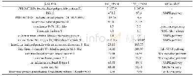 表1 在miR-146a组和NC组中的差异表达基因及所涉及的KEGG路径