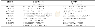 《表1 实时荧光定量PCR特异引物序列》