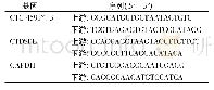表1 检测CTC-459F4.3和CTDSPL mRNA表达的q PCR引物序列