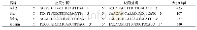 表1 引物序列：牛磺熊去氧胆酸对小鼠脑出血的神经保护作用及凋亡的影响