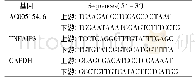 表1 RT-qPCR引物序列