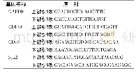 表1 引物序列：低频超声联合5-FU对结肠癌HT-29细胞生物学特性的影响