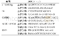 表1 q PCR特异性引物序列