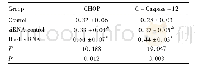 表5 沉默Rac1后血管瘤内皮细胞中CHOP、C-Caspase-12蛋白水平 (±s) Tab.5 CHOP and C-Caspase-12 protein levels in hemangioma endo-thelial cells