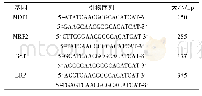 表1 基因引物序列及扩增片段长度分析