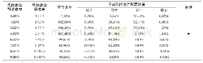 《表4 有效边界上若干组合的情况》