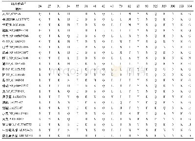 表1 ACE2与SARS-Co V的结合位点及其在不同物种间的变化