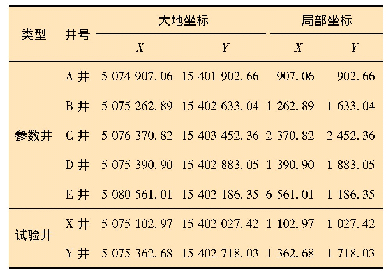 表3 参数井的井位坐标简化