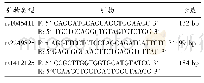 表1 HMGB1基因多态性引物设计