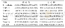 表1 RT-PCR实验所用引物序列
