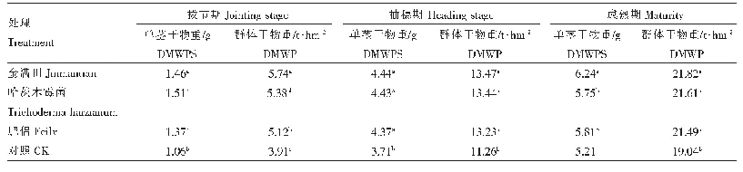 表2 不同生物菌剂对水稻主要生育时期单茎和群体干物重的影响