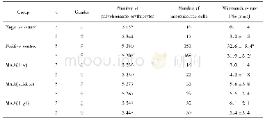 Table 2 Micronucleus rate of bone marrow cells of MAA in mice表2安乃近水解产物小鼠骨髓细胞微核率的结果