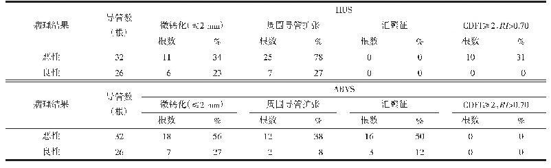 表1 HUS与ABVS特殊征象率的比较