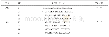 《表2 耐药基因巢式PCR引物序列》