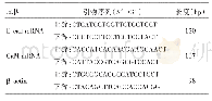 表1 PCR引物序列Tab.1The PCR primer sequences