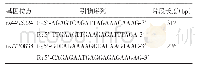 《表1 引物序列：PTGER4基因多态性与广西壮族、汉族人群炎症性肠病的关系》