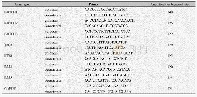 《表2 实时定量PCR引物》