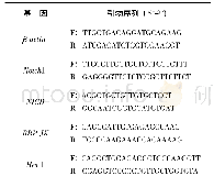 表1 RT-PCR所用的引物序列