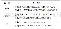 《表1 qRT-PCR实验中的各基因引物》