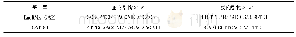 《表1 qRT-PCR引物序列》