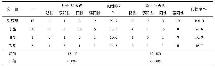 表2 HAND2、Cath-D在不同分型胆管扩张患者胆囊壁中的表达