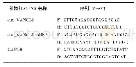 表1 circ＿VANGL1引物和shRNA序列