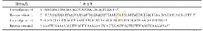 《表1 质粒构建引物序列信息》