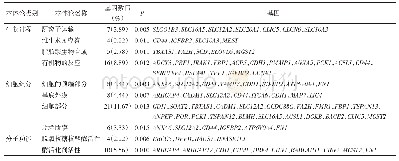 《表3 根据P值筛选的差异表达mRNA富集的前10个GO terms》