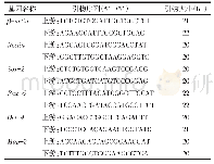 表1 神经干细胞q RT-PCR引物序列