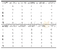 表3 10个SNP构成的常见单体型