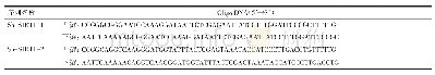 表1 SIRT1干扰序列