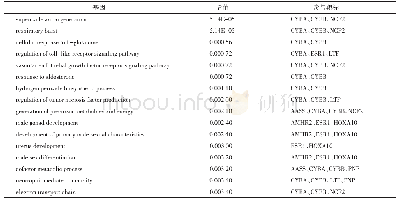 表1 0 治淋带基本组方的基因功能分析（前20)