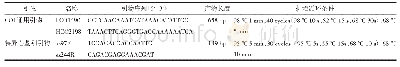 表2 引物及PCR扩增条件