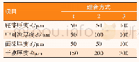 表2 涂层体系组合方式：钢箱-混凝土组合桥梁防腐涂层的疲劳应力分析