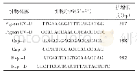 《表1 引物序列：鸽圆环病毒Cap及Rep基因的克隆与进化分析》