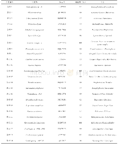 《表3 优势真菌群落的测序克隆序列与其GenBank最相似序列的比对结果》