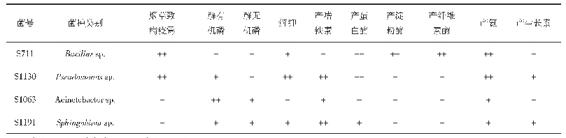 《表1 菌株功能特性：复合微生物制剂改善土壤生物学特性和防治烟草黑胫病的研究》