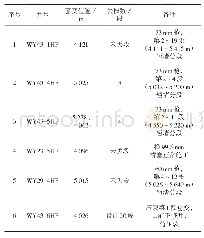 表4 2019年产能建设第一批井套变情况统计表