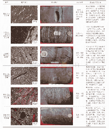 《表1 四川盆地中下侏罗统页岩岩相类型及分布特征表》