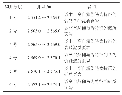 表1 W202井测井标志层（小层）划分表