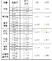 表3 测量量表的收敛效度