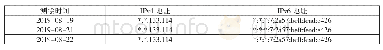 表2.1 IPv4和IPv6地址均不变