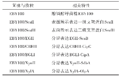 表1 本研究所用到的重组菌株及特性