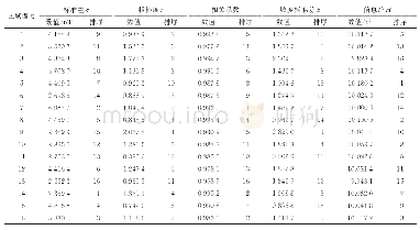 表1 单一地磁图特征参数值及其排序