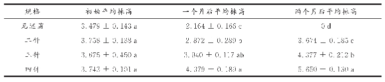 表3 遮荫强度对白芨容器苗高度的影响